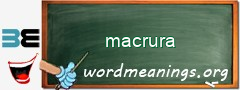 WordMeaning blackboard for macrura